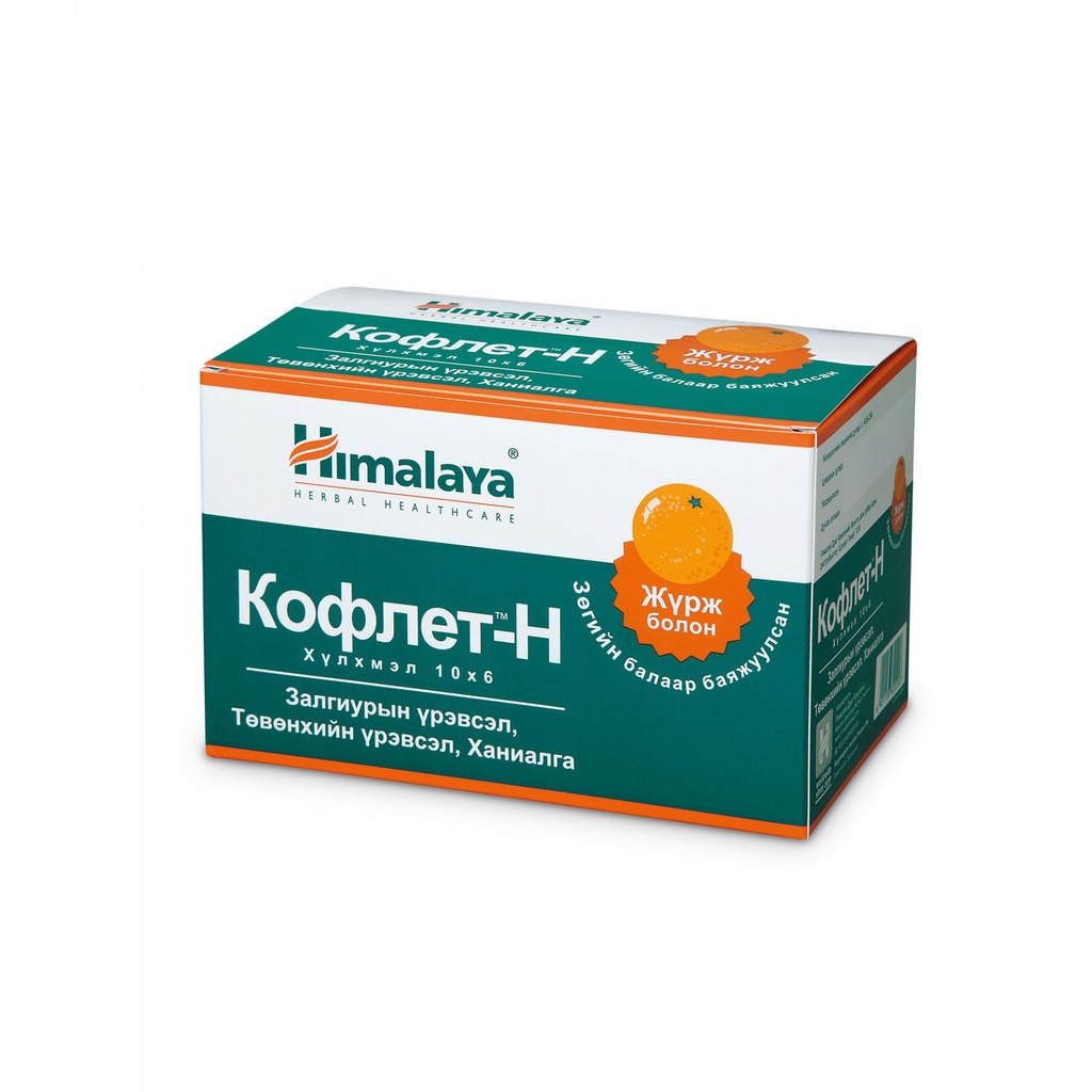 Кофлет-Н Жүрж №6 хүлхмэл**