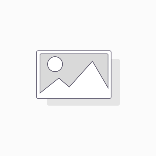 Лаксинг-4 №25